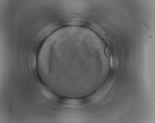 X0000113040205200910081218