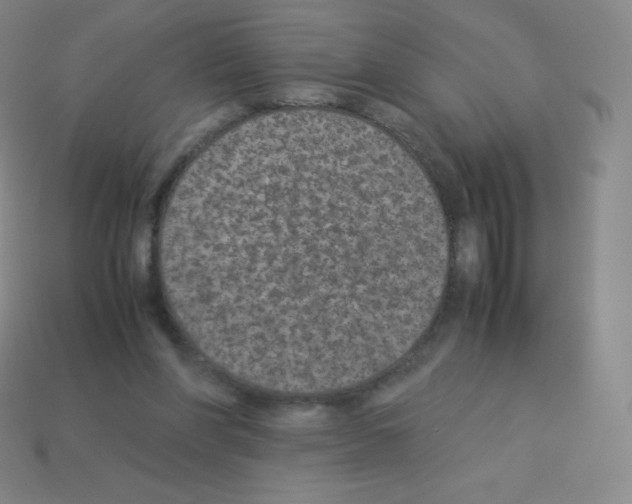 X0000113040206200910081218