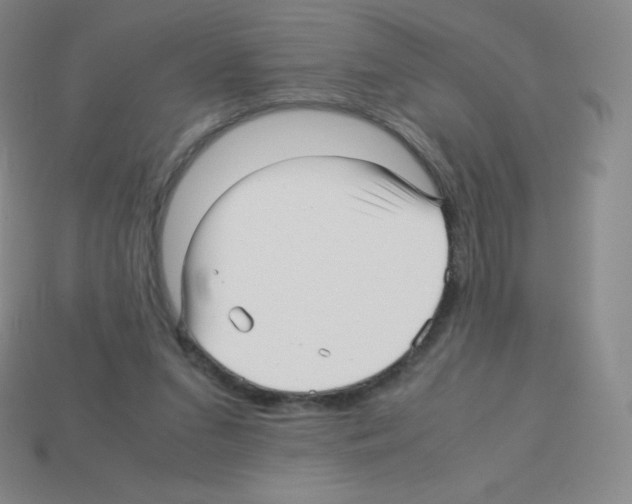 X0000113040207200910081217