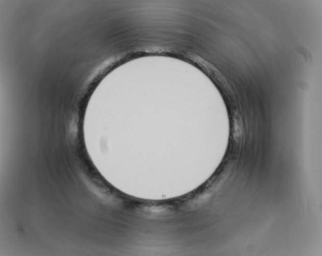 X0000113040208200910081217