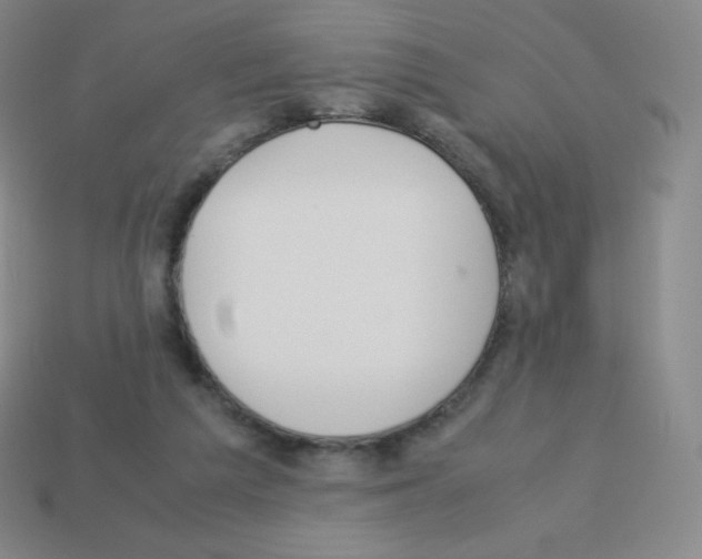 X0000113040209200910081217