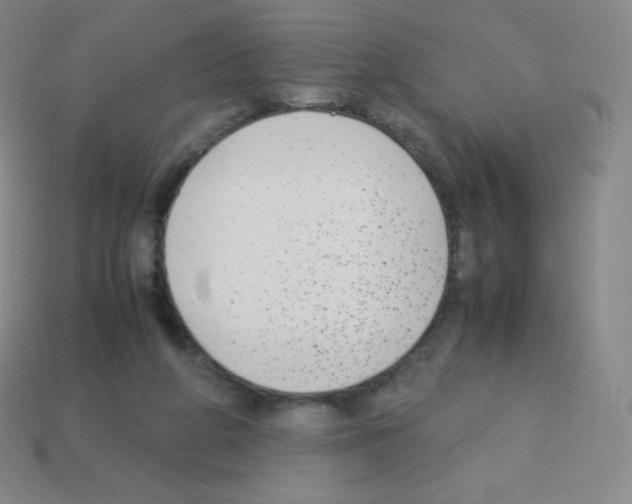 X0000113040210200910081217