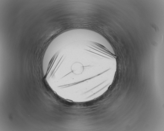 X0000113040211200910081217