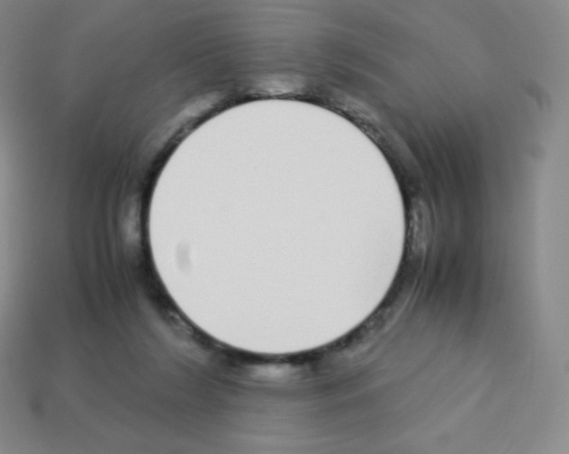X0000113040212200910081217