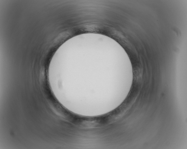 X0000113040213200910081217