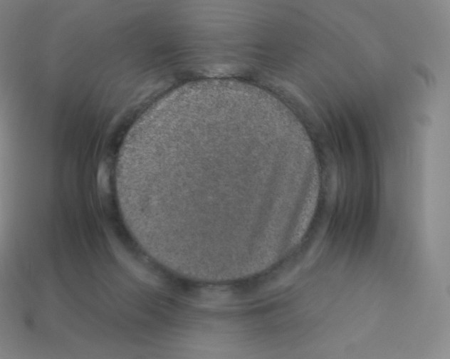 X0000113040214200910081217
