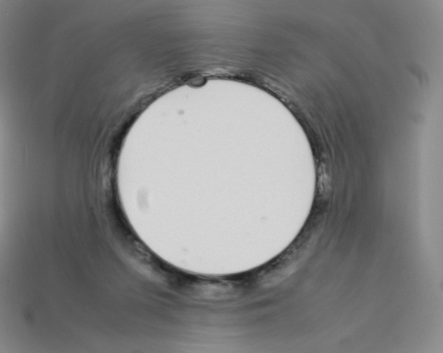 X0000113040215200910081217