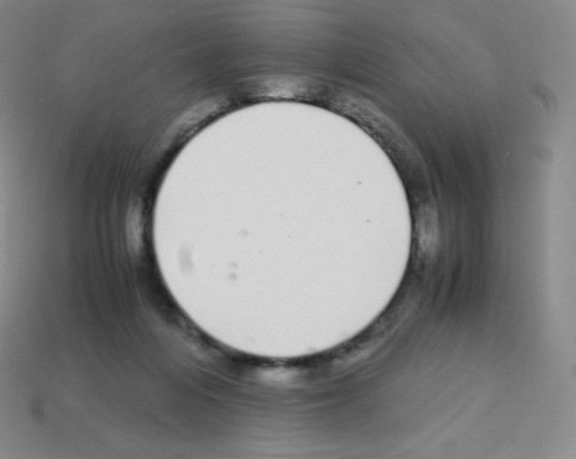 X0000113040216200910081217