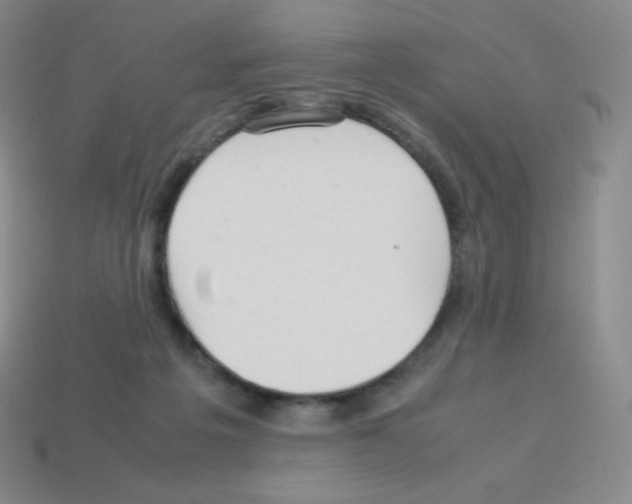 X0000113040217200910081217
