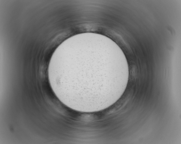 X0000113040218200910081217