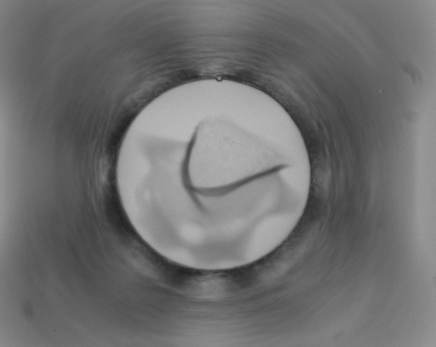 X0000113040219200910081217