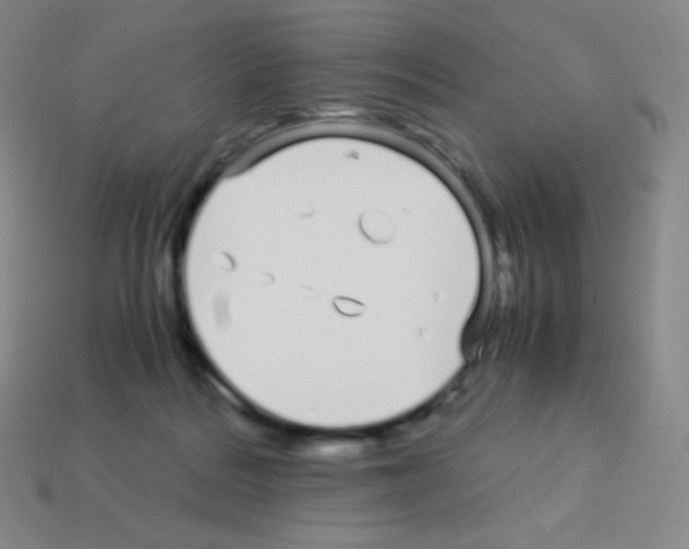 X0000113040220200910081217