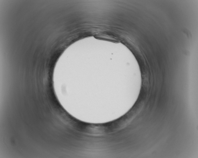 X0000113040221200910081217