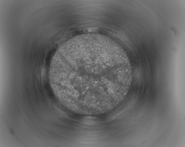 X0000113040222200910081217