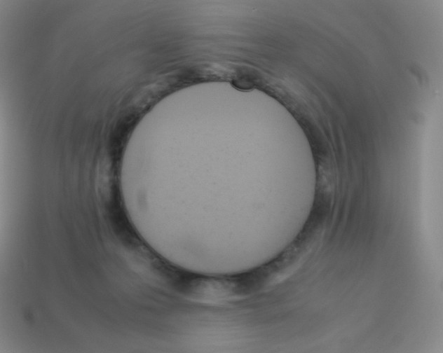 X0000113040223200910081217