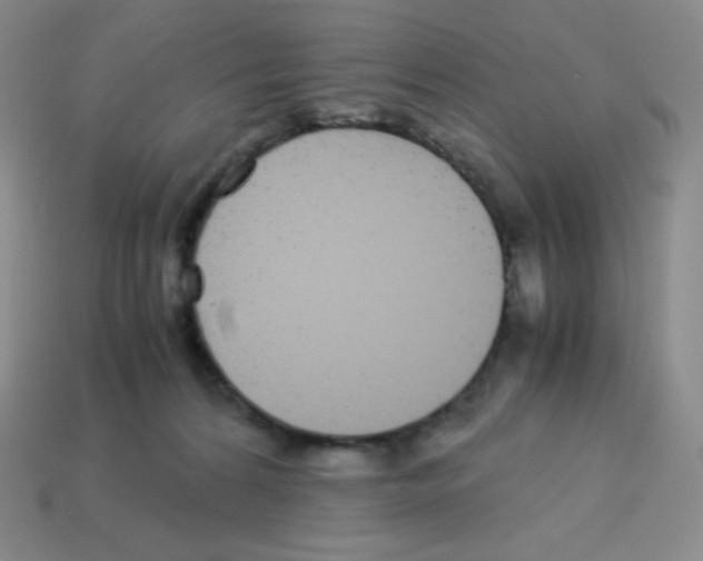 X0000113040224200910081217
