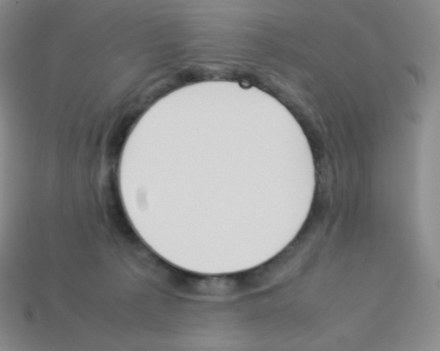 X0000113040225200910081217
