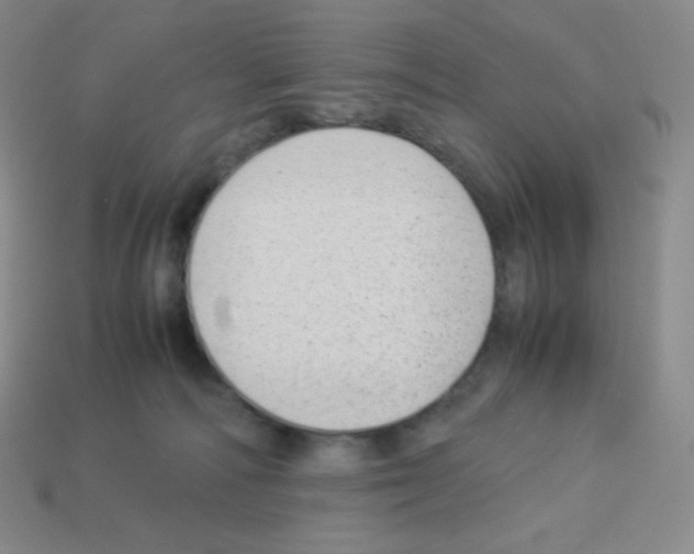 X0000113040226200910081217