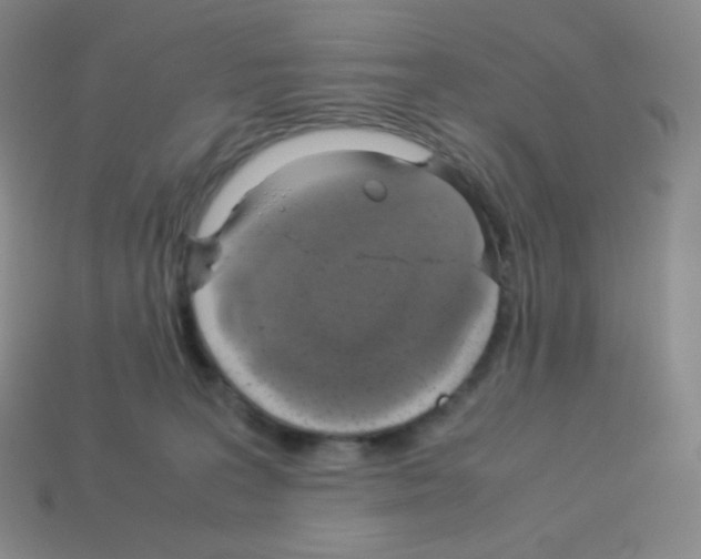 X0000113040227200910081217