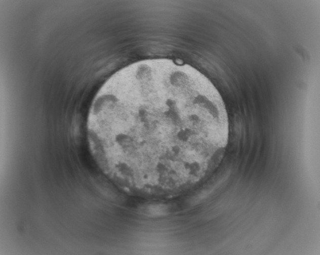 X0000113040228200910081217