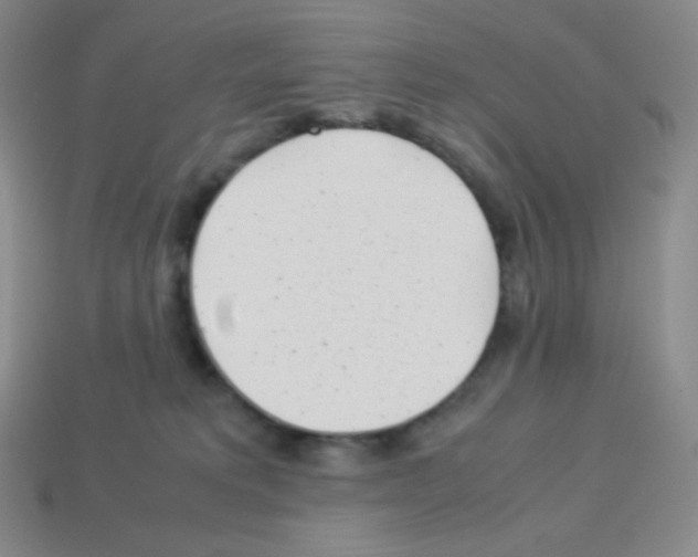 X0000113040229200910081217