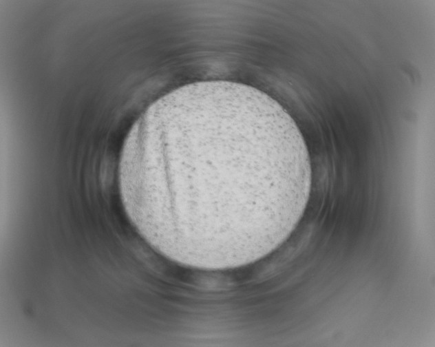 X0000113040230200910081217