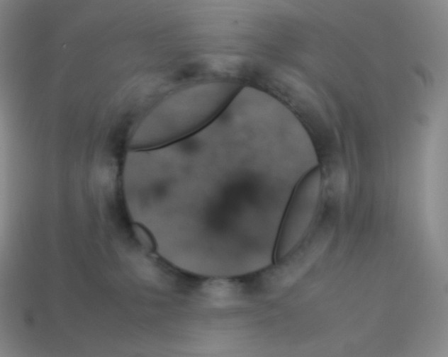 X0000113040231200910081217