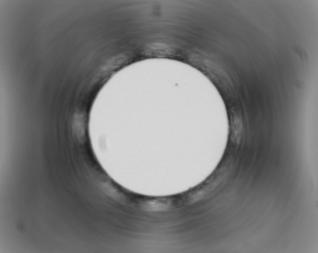 X0000113040232200910081217