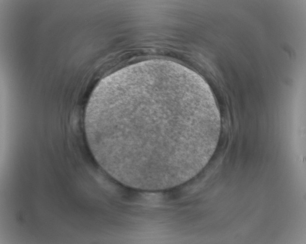 X0000113040233200910081217