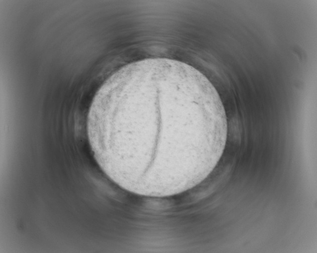 X0000113040234200910081217