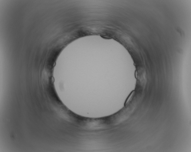 X0000113040235200910081217