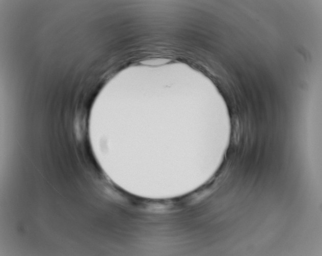 X0000113040236200910081217