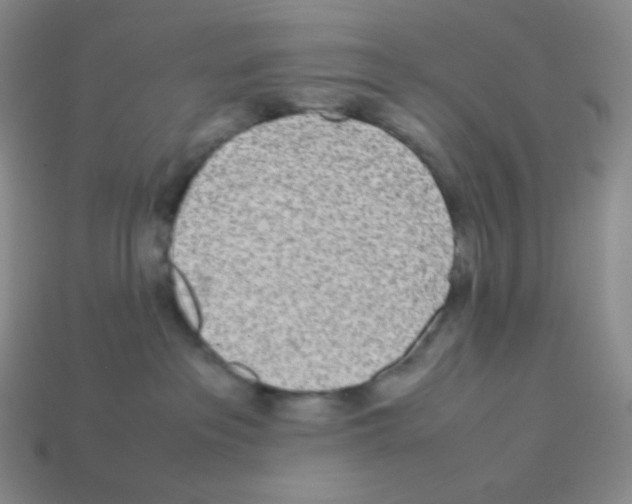 X0000113040237200910081217