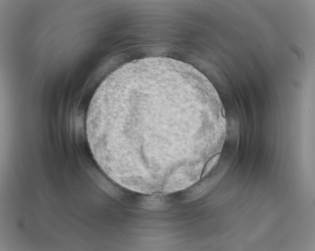 X0000113040238200910081217