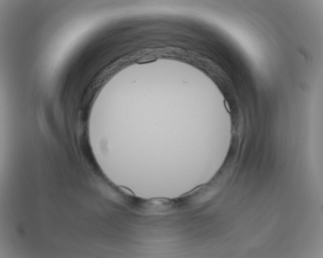 X0000113040239200910081217