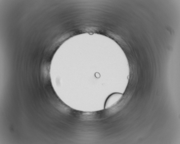 X0000113040240200910081217