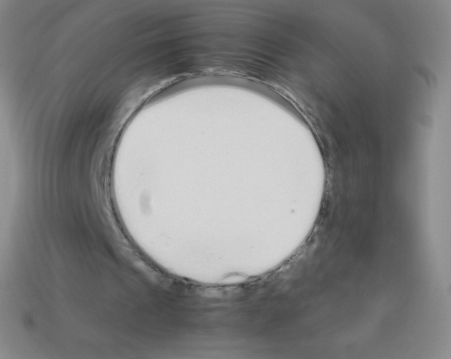 X0000113040241200910081216