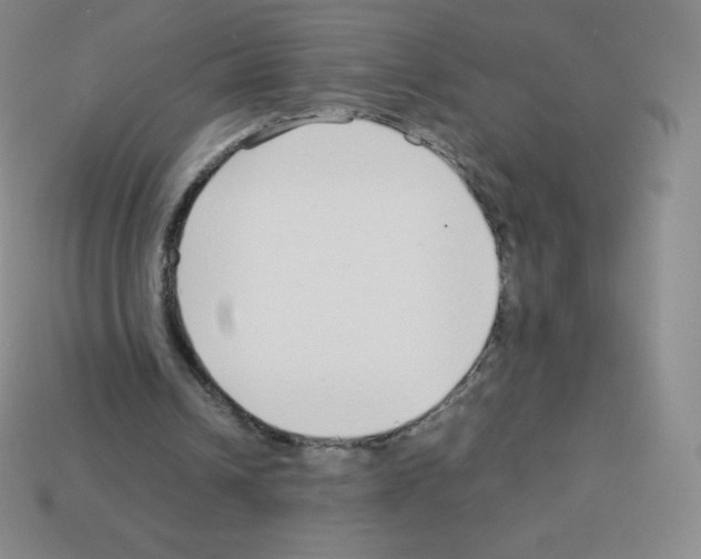 X0000113040242200910081216