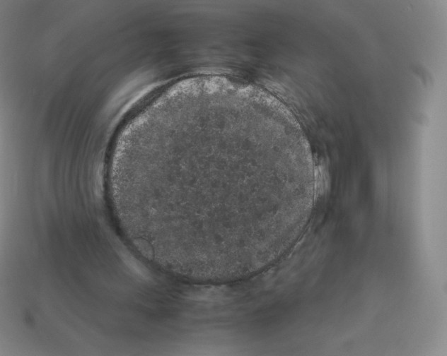 X0000113040243200910081216