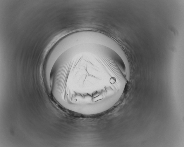 X0000113040244200910081216