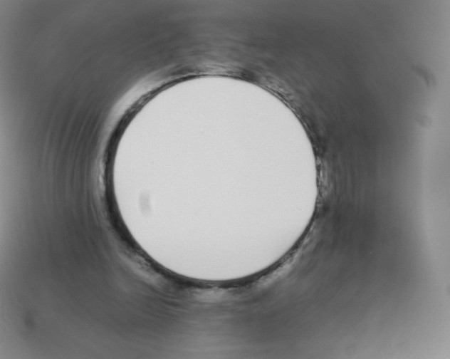 X0000113040246200910081217