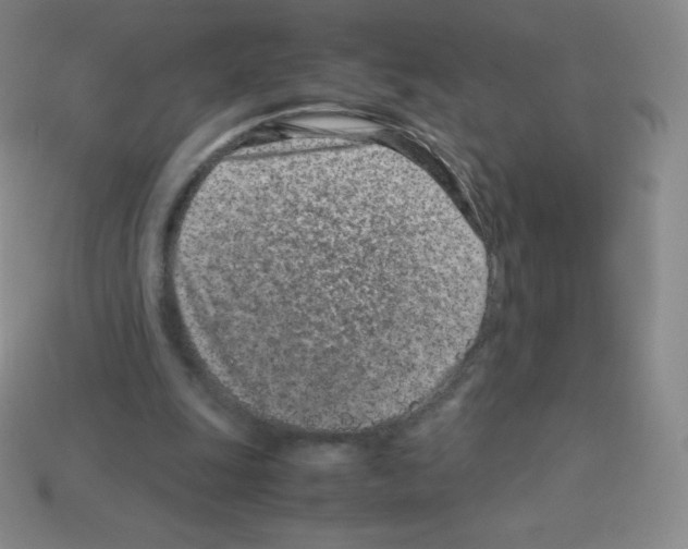 X0000113040247200910081217