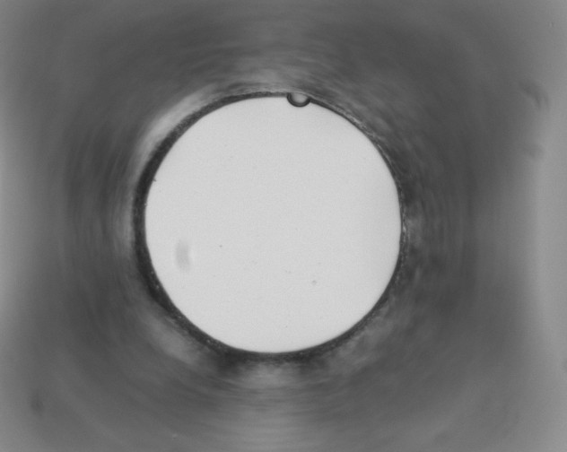 X0000113040248200910081217