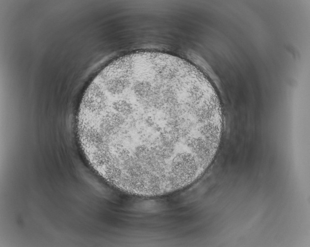 X0000113040249200910081217