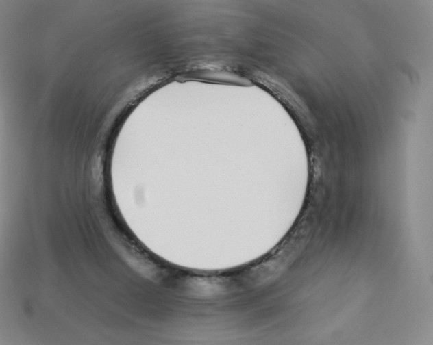 X0000113040250200910081217
