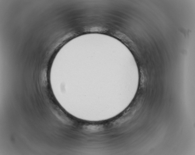 X0000113040251200910081217