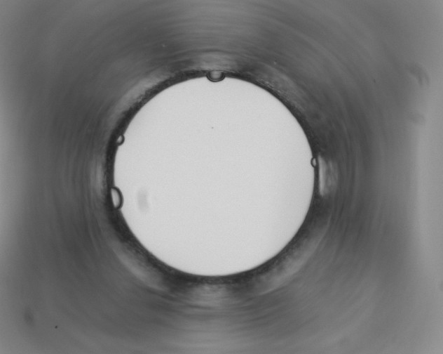 X0000113040252200910081217