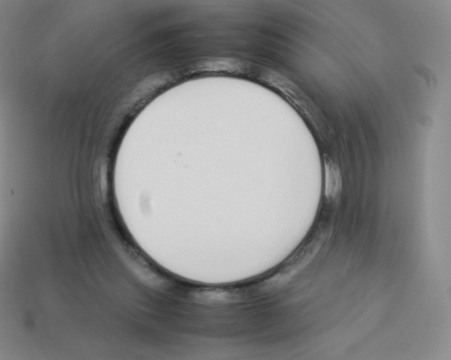X0000113040253200910081217