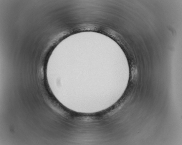 X0000113040254200910081217