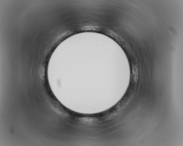 X0000113040255200910081217